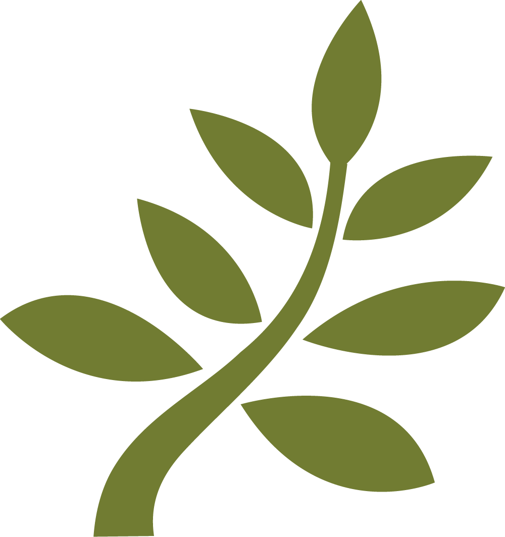 leaf of growth